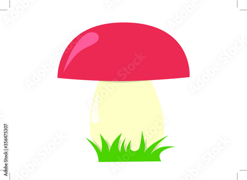 Boletus mushroom with red hat, leg and green grass.