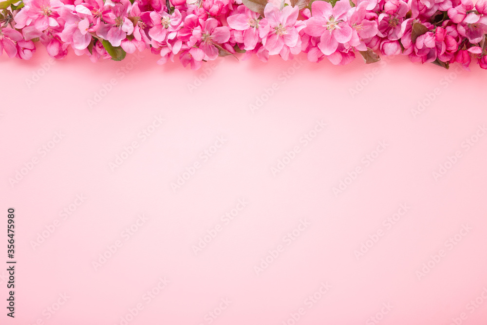 Fresh branches of apple blossoms on light pink table background. Pastel color. Flat lay. Closeup. Empty place for inspirational text, lovely quote or positive sayings. Top down view.