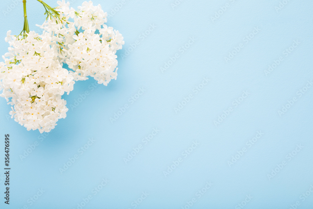 Fresh branches of white lilac blossoms on light blue table background. Pastel color. Flat lay. Closeup. Empty place for inspirational, happy text, lovely quote or positive sayings. Top down view. Fresh branches of white lilac blossoms on light blue table background. Pastel color. Flat lay. Closeup. Empty place for inspirational, happy text, lovely quote or positive sayings. Top down view.