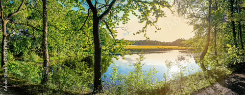 Teich, See, Wald