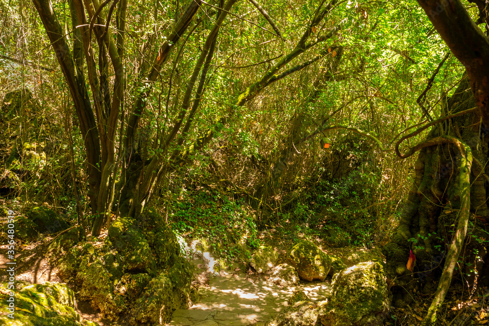 Obraz premium Kursunlu waterfall is one of the most attractive landscapes in terms of lush plants and small or big various picnic areas in Antalya.