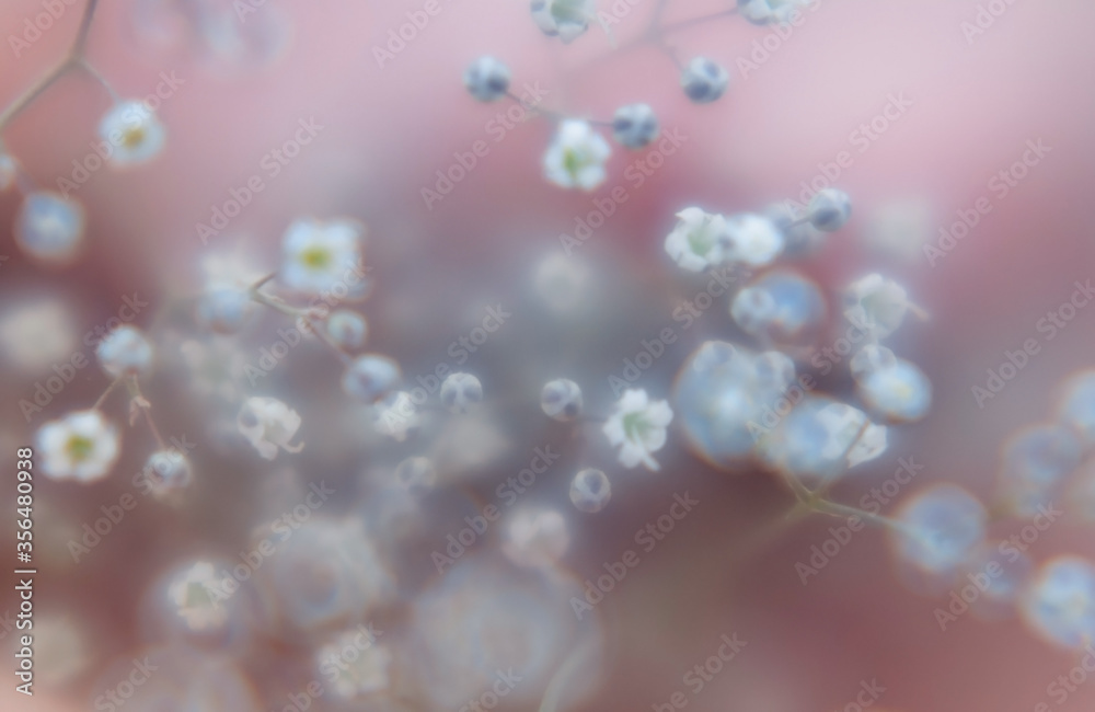 abstract blur colorful flowers background pattern photo. abstract blur colorful flowers background pattern photo.