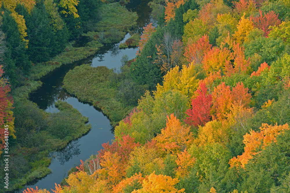 Aerial perspective of autumn forest and Carp River, Lake of the Clouds, Porcupine Mountains Wilderness State Park, Michigan's Upper Peninsula, USA