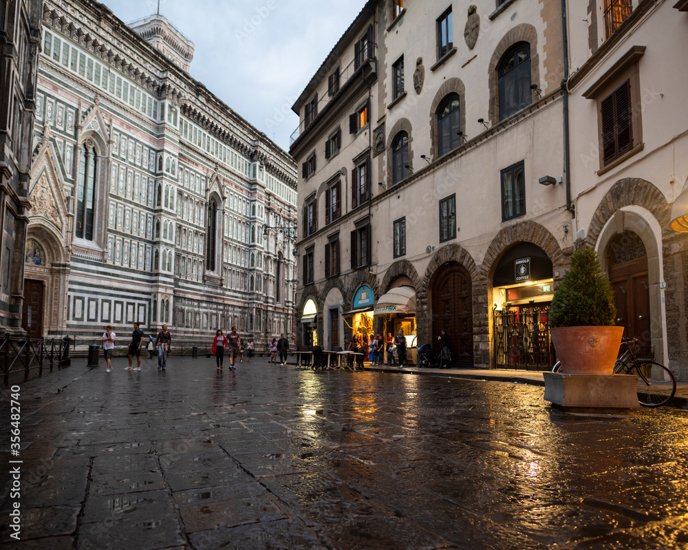 Fototapeta premium The main church of Florence 
