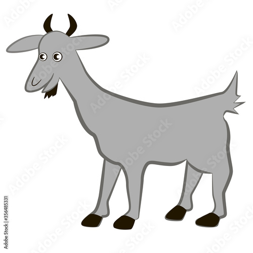 Gray goat on a white background.
