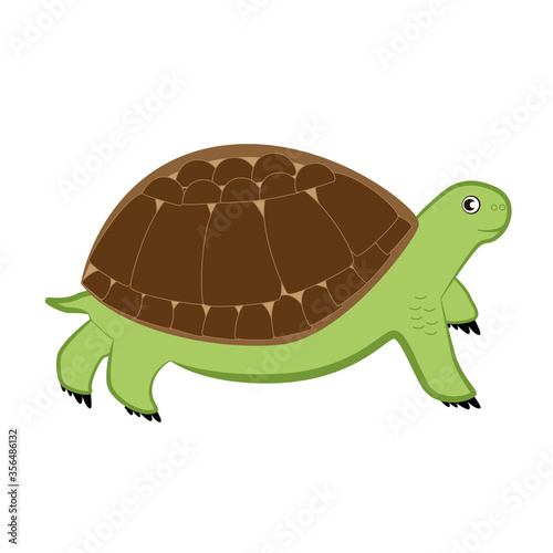 Cartoon turtle on a white background.