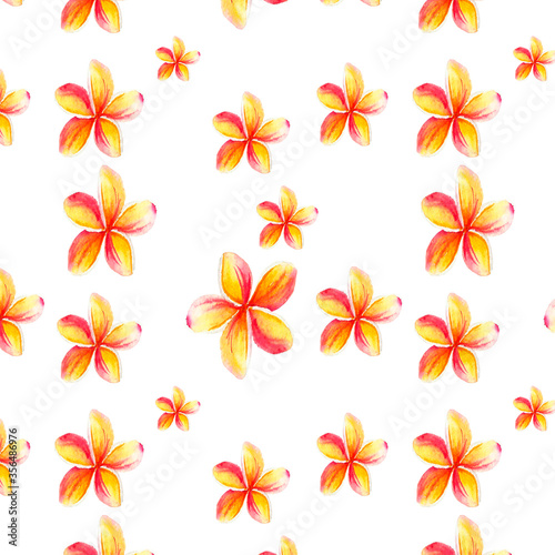 Watercolor pattern with tropical plumeria flower  suitable for packaging paper design  salon price list styling and web design