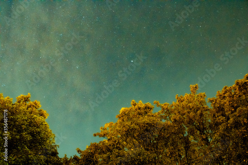 the night reflection of a lake full of seaweed photo