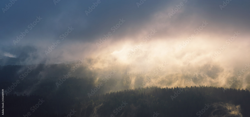 Obraz premium Panorama of morning fog landscape in the mountains of Saxon Switzerland, Germany 