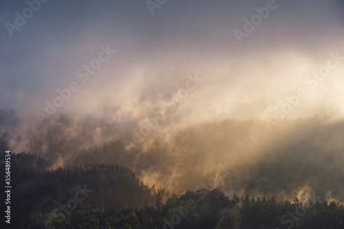 Misty morning in the mountains of Saxon Switzerland, Germany with colored fog