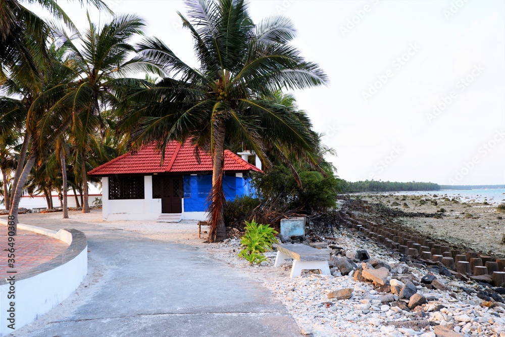 Fototapeta premium beach side house in lakshadweep