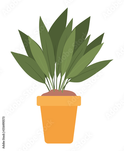 Plant inside pot design of Floral nature garden ornament botany decoration beauty and flora theme Vector illustration