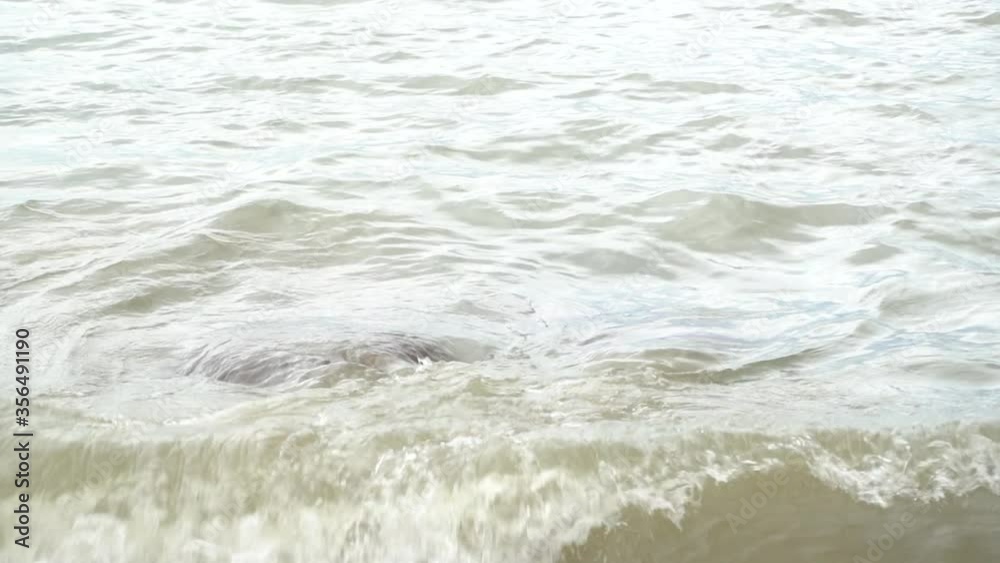 Rocks and seawater and ocean waves