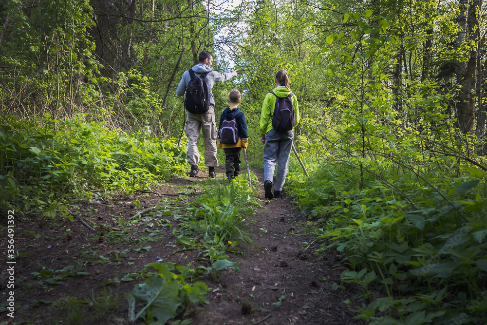 Fototapeta premium Young father with two children with backpacks and sticks walk along forest path in summer. Family weekend outdoors in woods, camping. Hiking with kids, healthy lifestyle. Social distancing together