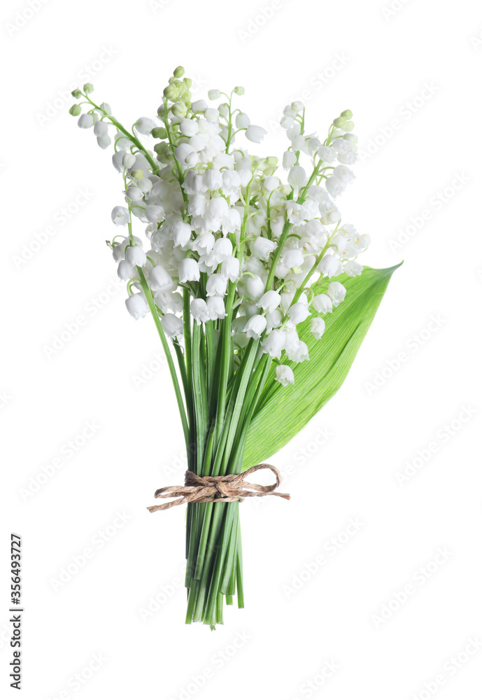 Obraz premium Beautiful lily of the valley flowers isolated on white