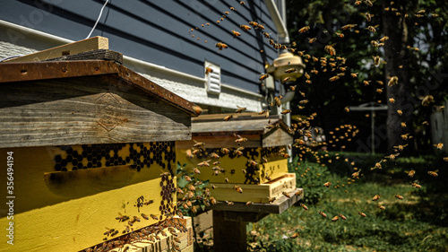 Yellow bee hives with flight of bees in a stacked long exposure