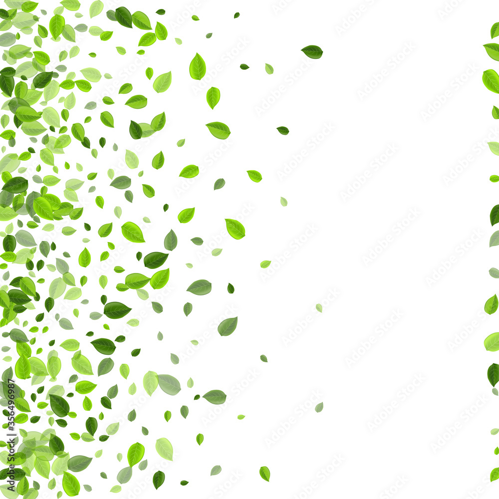 Olive Foliage Blur Vector Backdrop. Falling Olive Foliage Blur Vector Backdrop. Falling