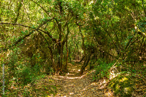 Kursunlu waterfall is one of the most attractive landscapes in terms of lush plants and small or big various picnic areas in Antalya.