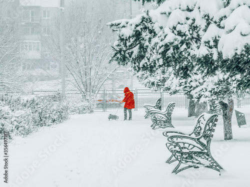 woman in the snowy park