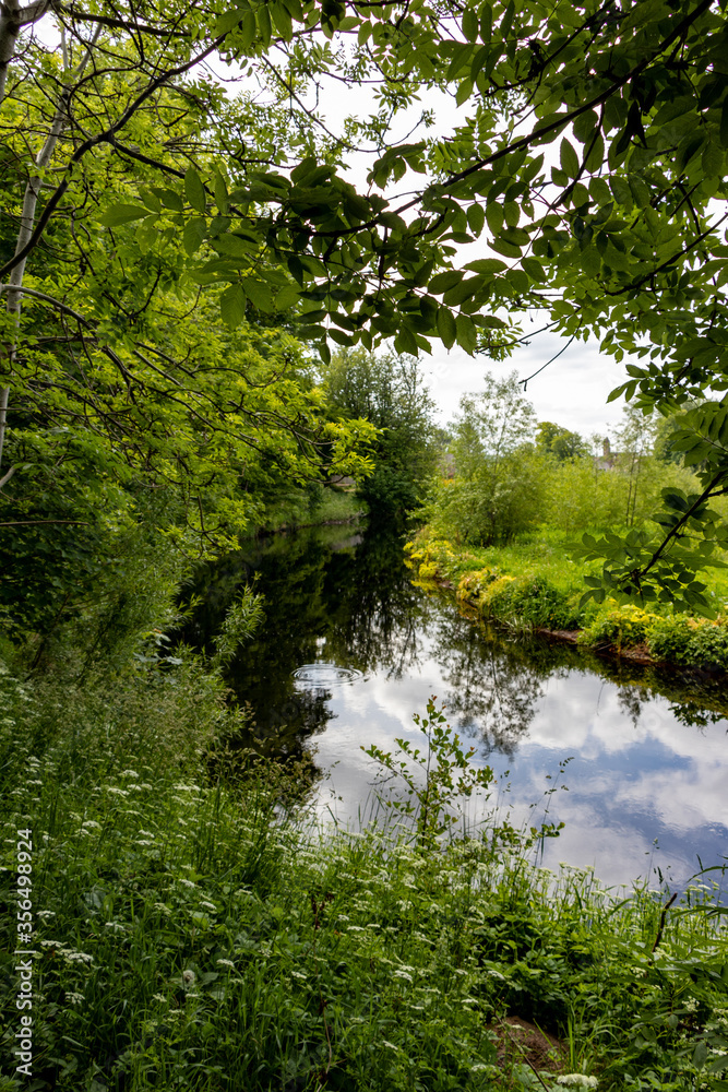 green nature in this beautiful world green nature in this beautiful world