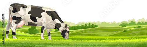 Cow, hills and meadows. Pasture fields, green grass. Horizontal rural landscape. Vector illustration isolated on a white background.