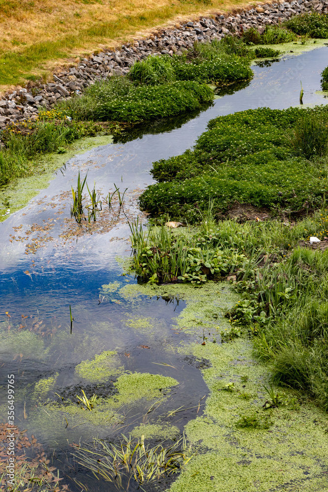 green nature in this beautiful world green nature in this beautiful world