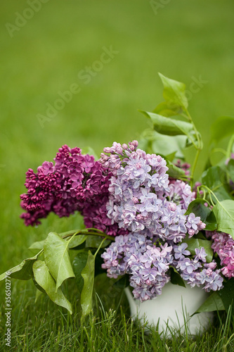 Beautiful spring flowers. purple lilac in white vase on grass green background