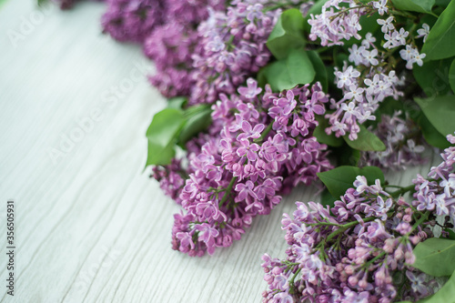 Lilac against the background of wooden boards in rustic style