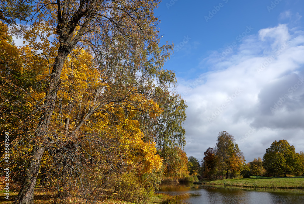 Autumn. Park. In the foreground, you can see trees with bright yellow leaves and a pond. Blue sky with soft, white clouds. Autumn. Park. In the foreground, you can see trees with bright yellow leaves and a pond. Blue sky with soft, white clouds.