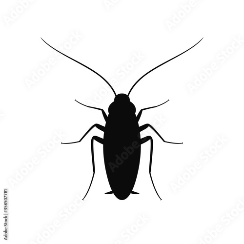 Cockroach silhouette. Isolated cockroach on white background