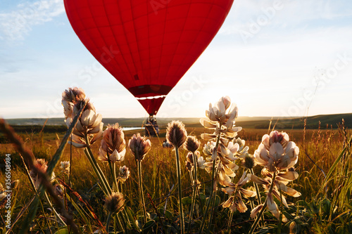 Hot air balloon in the shape of a heart is flying over the flower field at sunset, sunrise photo