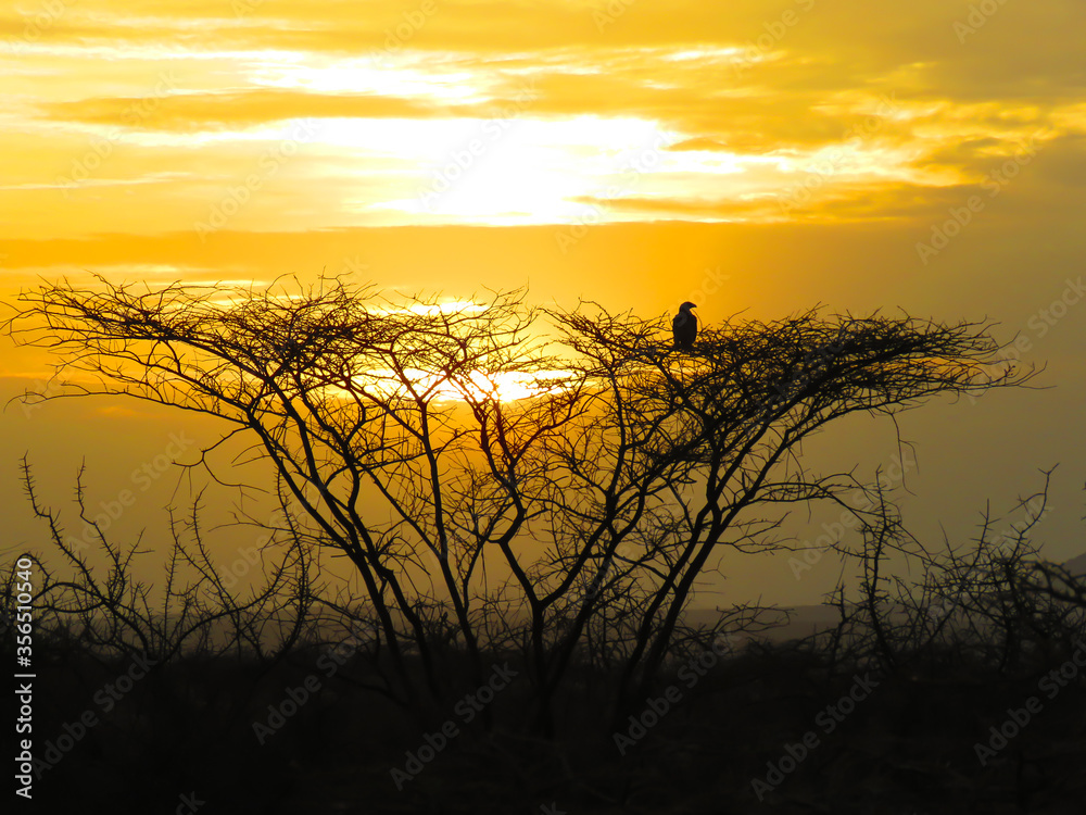Sunset in Samburu National Park, Kenya
