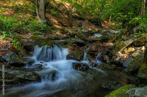 A mountain stream flowing through a landscape in a dense forest captured by long exposure time.