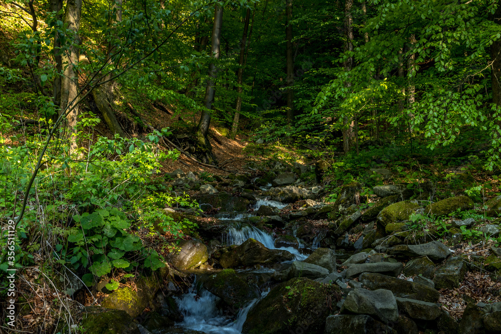A mountain stream flowing through a landscape in a dense forest captured by long exposure time. A mountain stream flowing through a landscape in a dense forest captured by long exposure time.