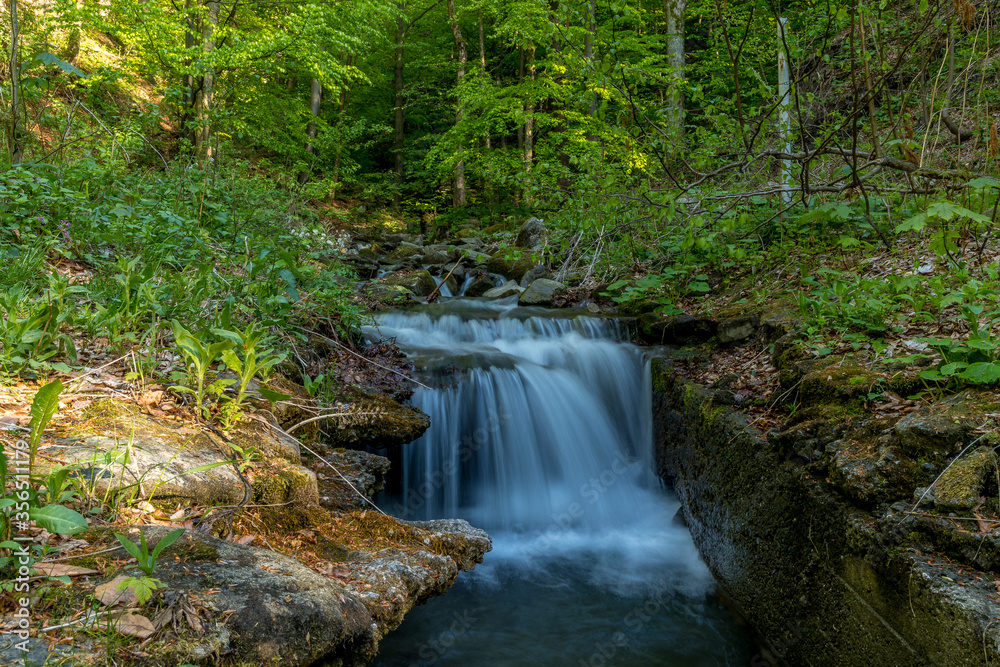 A mountain stream flowing through a landscape in a dense forest captured by long exposure time. A mountain stream flowing through a landscape in a dense forest captured by long exposure time.