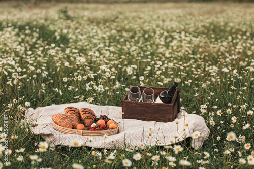 a tray with croissants, strawberries, cherries and apricots in the background is a box with a bottle of wine and two glasses. Picnic in the chamomile field