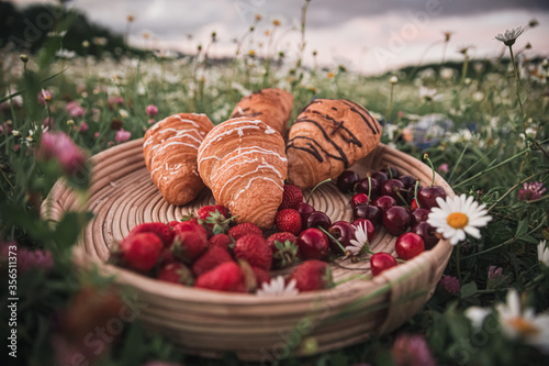 tray with croissants  strawberries  cherries and apricots in a chamomile field