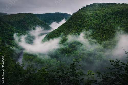 Pine Creek Gorge  The Grand Canyon of Pennsylvania    Pennsylvania