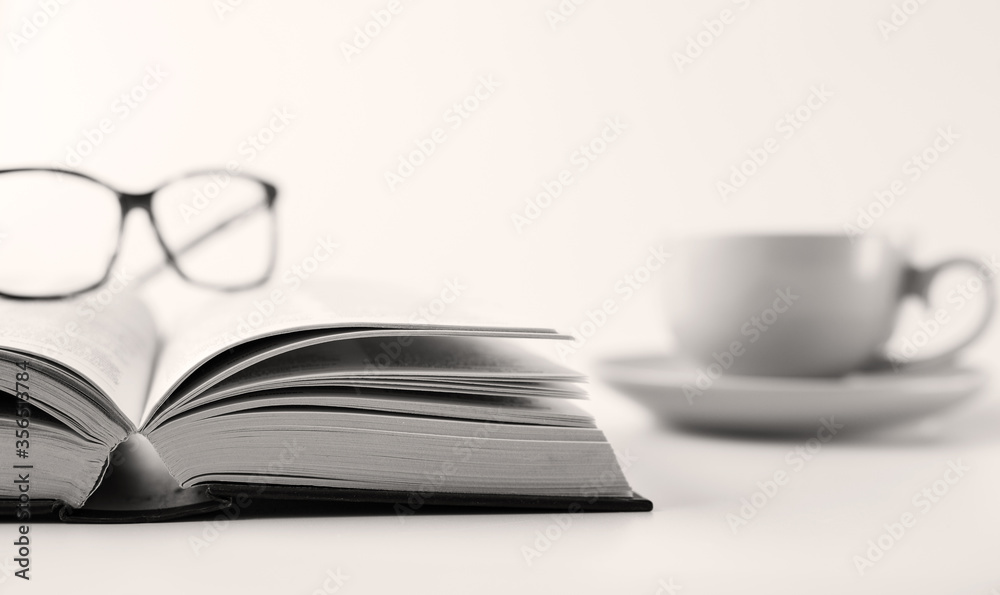 Fototapeta premium Book is power