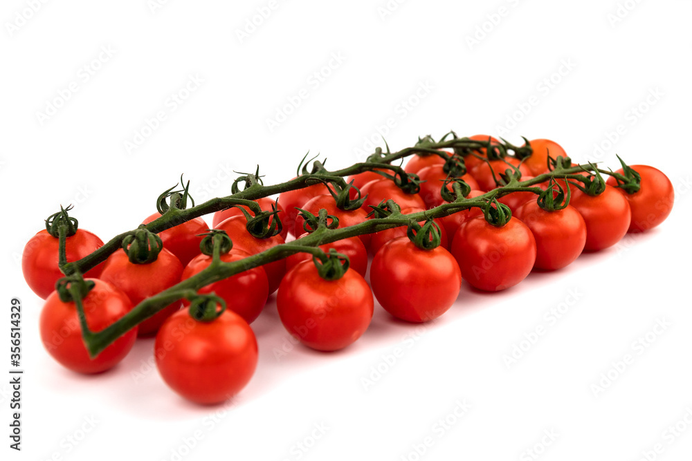 Cherry tomatoes on a green branch photographed on a white background Cherry tomatoes on a green branch photographed on a white background