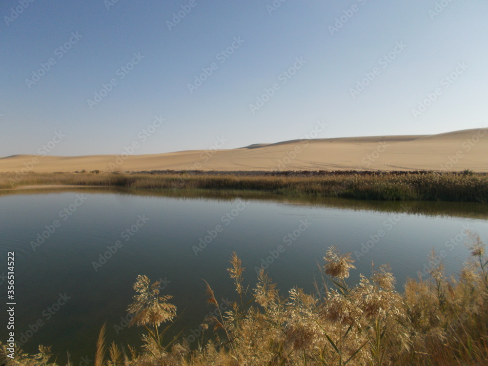 landscape with lake landscape with lake