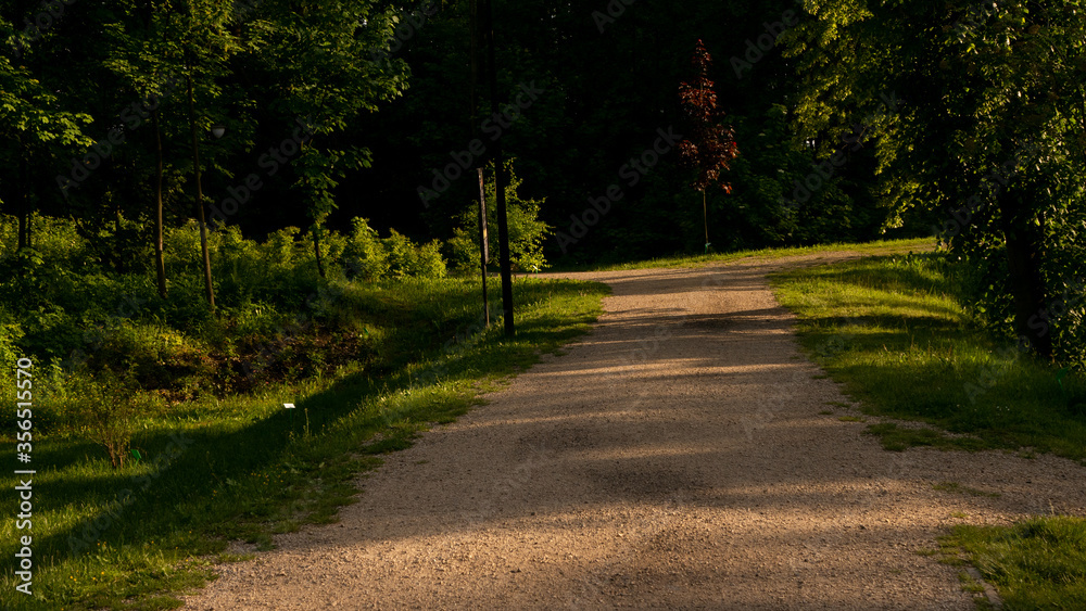 Naklejka premium Krajobrazy i widoki w Ogrodzie Botanicznym w Radzionkowie. Gotowy do wejścia.