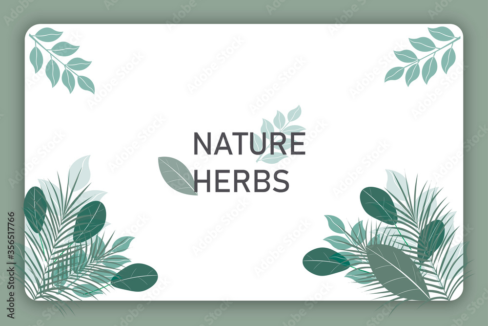 Horizontal botanical banner, brochure. Green leaves and herbs, plants. The illustration is decorated with foliage, with the text in the middle.