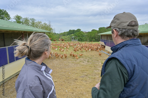 Farmers couple discussing about their chickens breeding