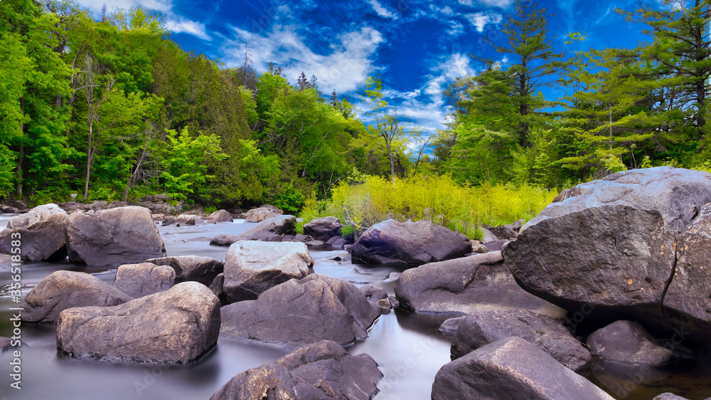 Nature Nature
