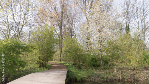 Gaasperplas park in Amsterdam in April photo