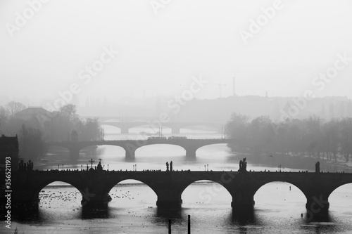 Charles bridge vltava