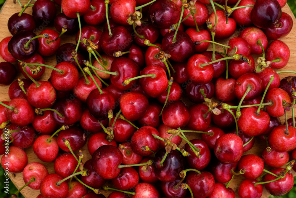 Sweet cherry fruit images on the green grass Sweet cherry fruit images on the green grass