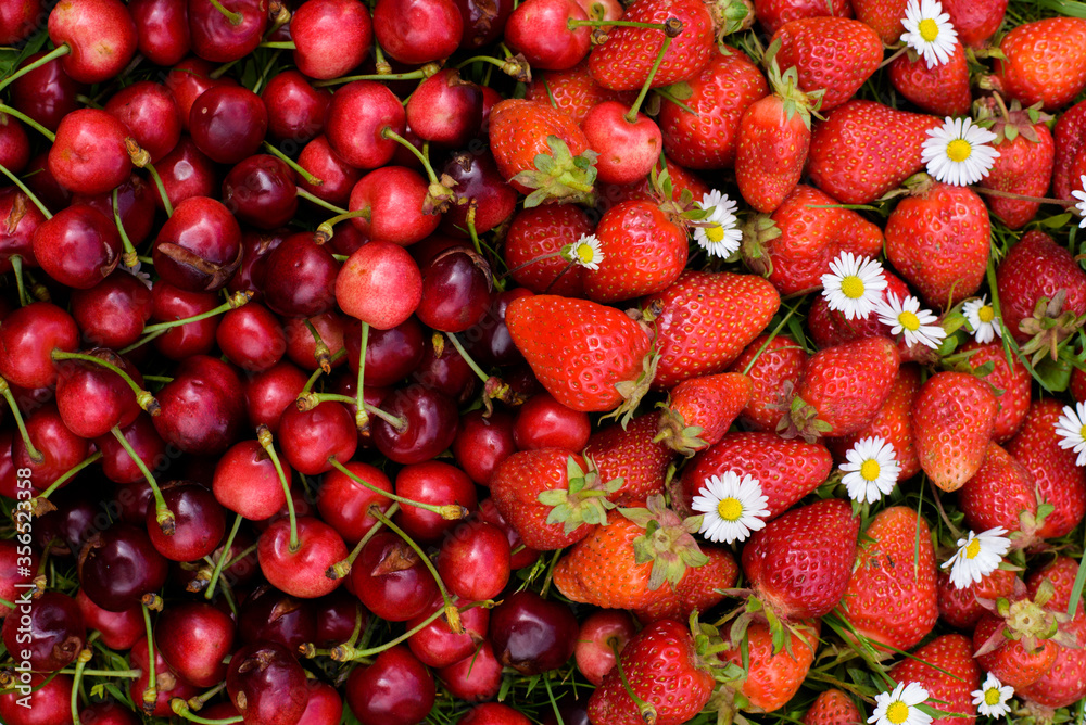 Red strawberry and cherry on the green grass Red strawberry and cherry on the green grass