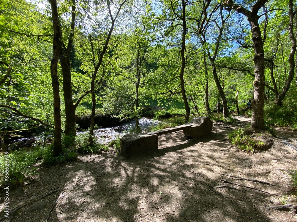 A seat in a clearing, near a stream in, Hardcastle Crags, Hebden Bridge, UK A seat in a clearing, near a stream in, Hardcastle Crags, Hebden Bridge, UK